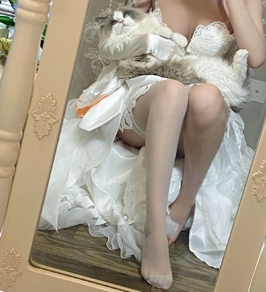 91视频在线观看网站_蓝光全集在线观看
